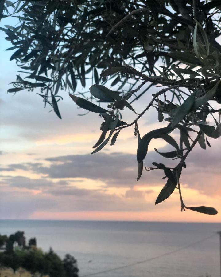 Hotel Senator Ulcinj Eksteriør bilde